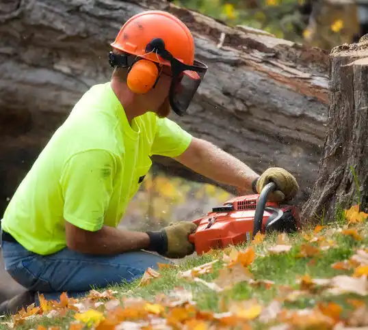 tree services New Lebanon